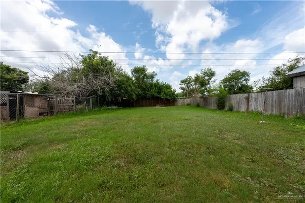 a view of a backyard with grass and a large tree