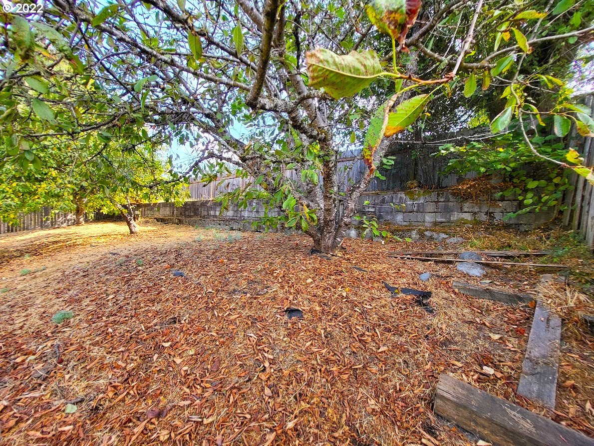 1336 South 7th Street Cottage Grove, OR 97424 - Photo 11 of 16