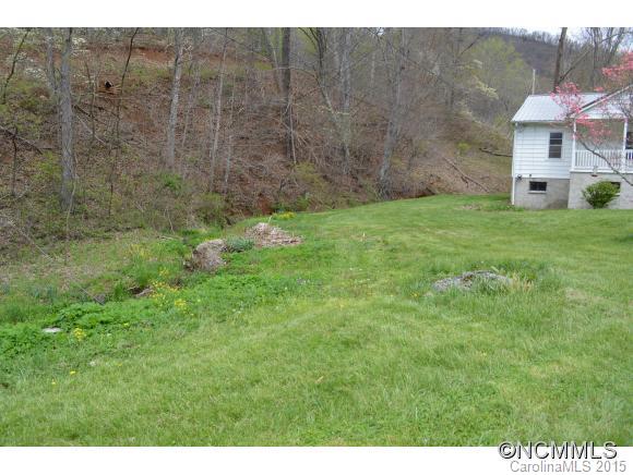 245 Meadow Grove Church Road Canton, NC 28716 - Photo 3 of 22 Gallery Image 3