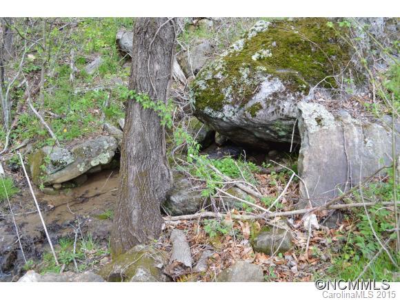 245 Meadow Grove Church Road Canton, NC 28716 - Photo 21 of 22 Gallery Image 21