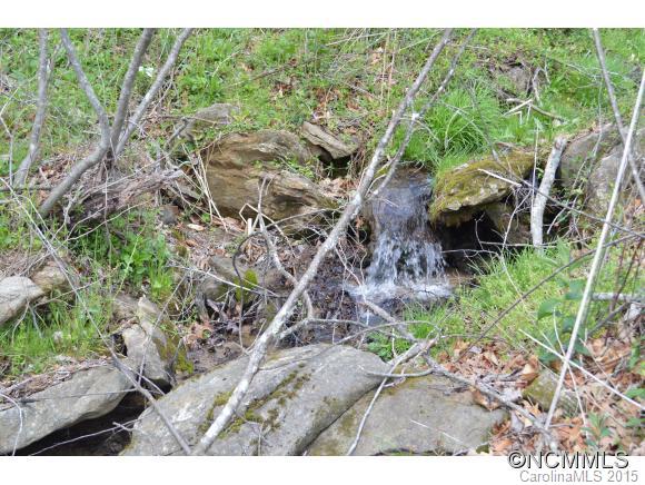 245 Meadow Grove Church Road Canton, NC 28716 - Photo 22 of 22 Gallery Image 22