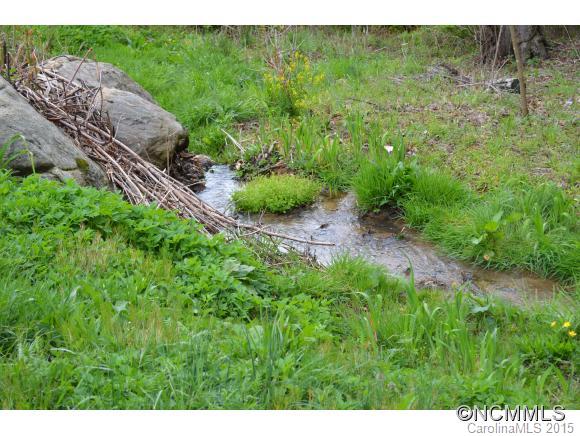 245 Meadow Grove Church Road Canton, NC 28716 - Photo 6 of 22 Gallery Image 6