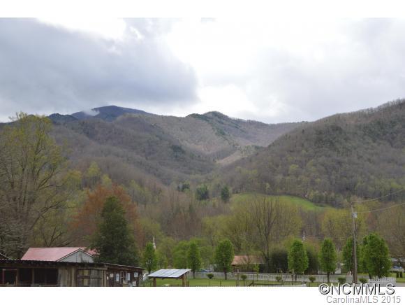 245 Meadow Grove Church Road Canton, NC 28716 - Photo 7 of 22 Gallery Image 7