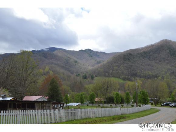 245 Meadow Grove Church Road Canton, NC 28716 - Photo 8 of 22 Gallery Image 8