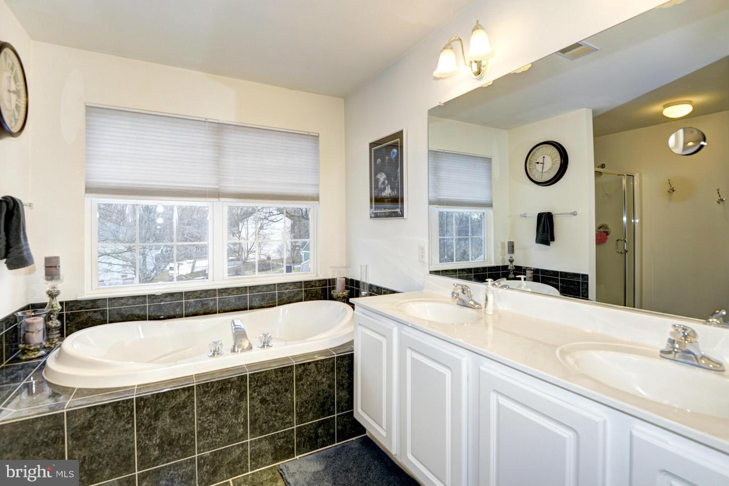 9522 Rommel Drive Columbia, MD 21046 - Photo 19 of 30 a bathroom with a tub sink and mirror
