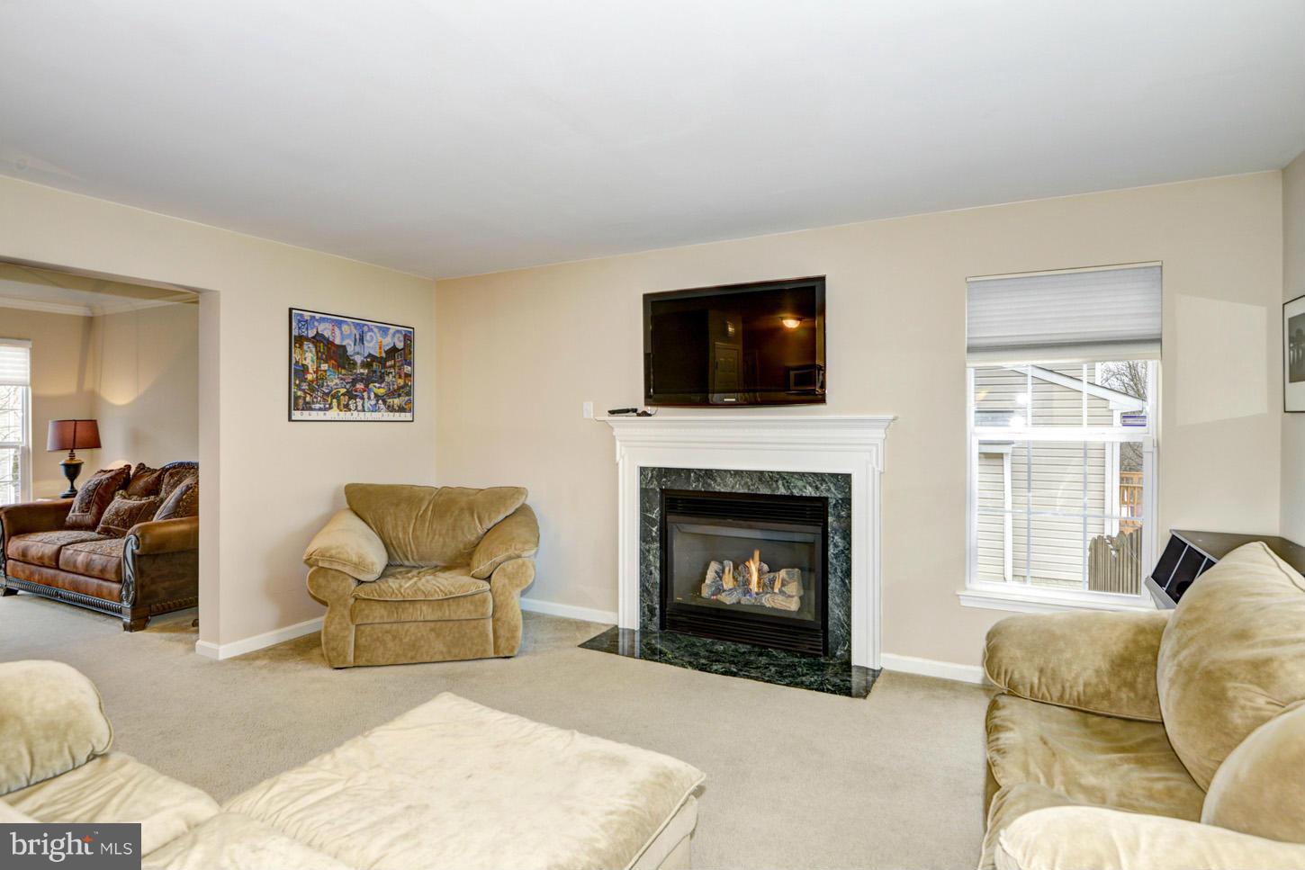 9522 Rommel Drive Columbia, MD 21046 - Photo 7 of 30 a living room with furniture a flat screen tv and a fireplace