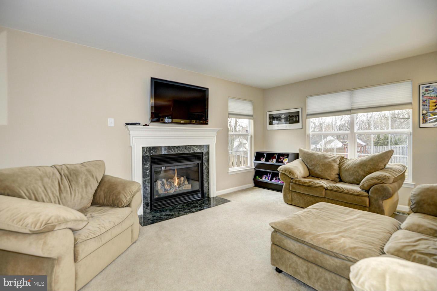 9522 Rommel Drive Columbia, MD 21046 - Photo 8 of 30 a living room with furniture a flat screen tv and a fireplace