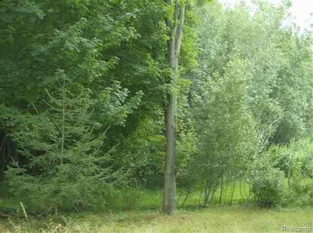 11317 Cooper Road Pleasant Lake, MI 49272 - Photo 11 of 11