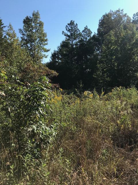 32 Pinhook Road Calhoun, TN 37309 - Photo 6 of 9 31 to 32