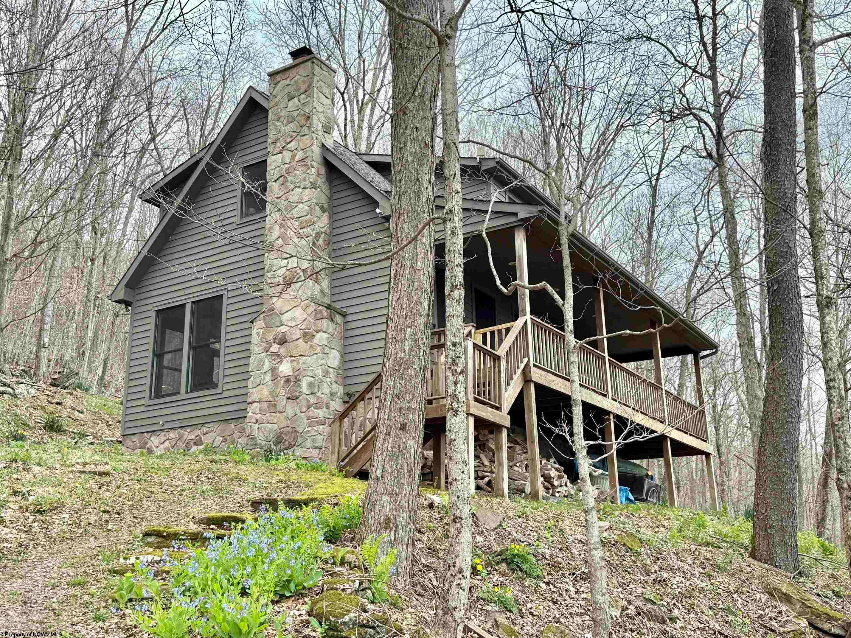 155 Mdws Road East Harman, WV 26270 - Photo 1 of 46 Gallery Image 1