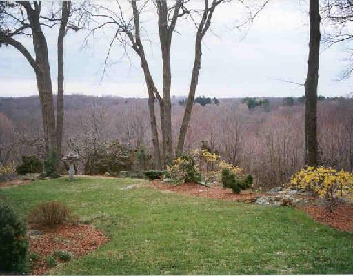 94-95) Umpawaug Road Redding, CT 06896 - Photo 1 of 1 a view of a backyard