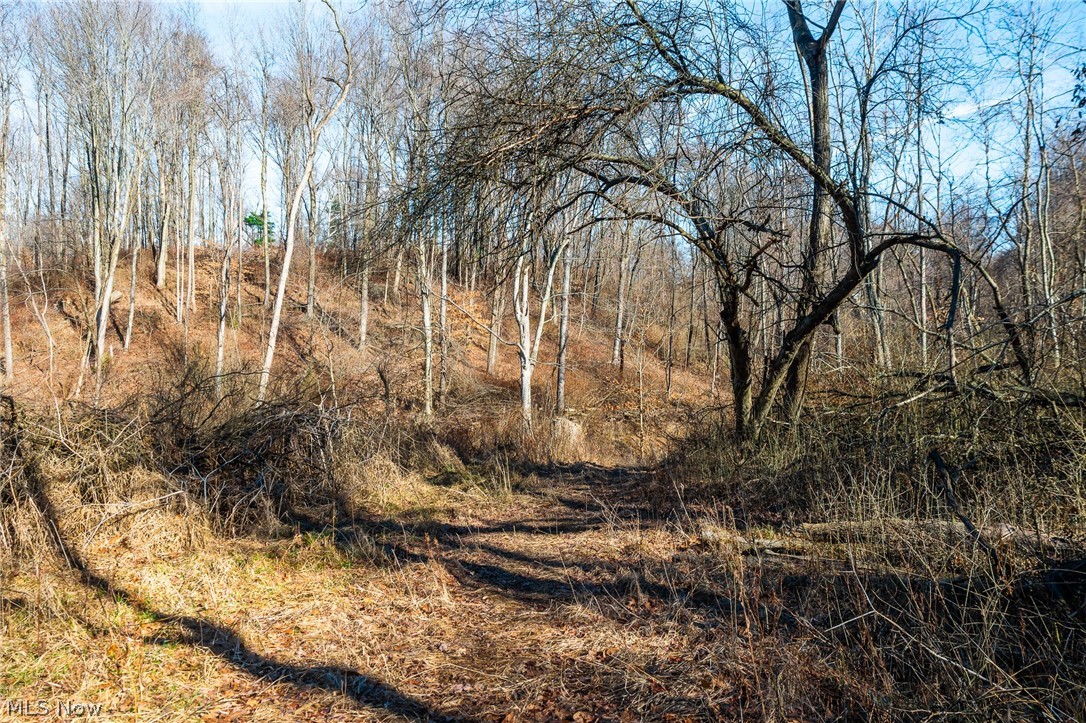 2535 Millersburg Road Wooster, OH 44691 - Photo 13 of 46 View of nature