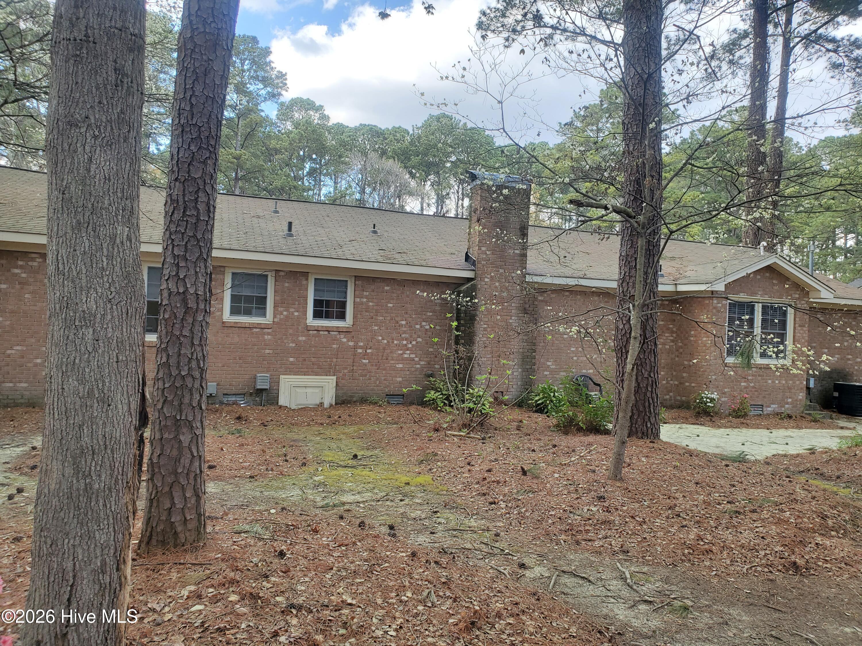 206 Staffordshire Road Greenville, NC 27834 - Photo 17 of 18 back yard