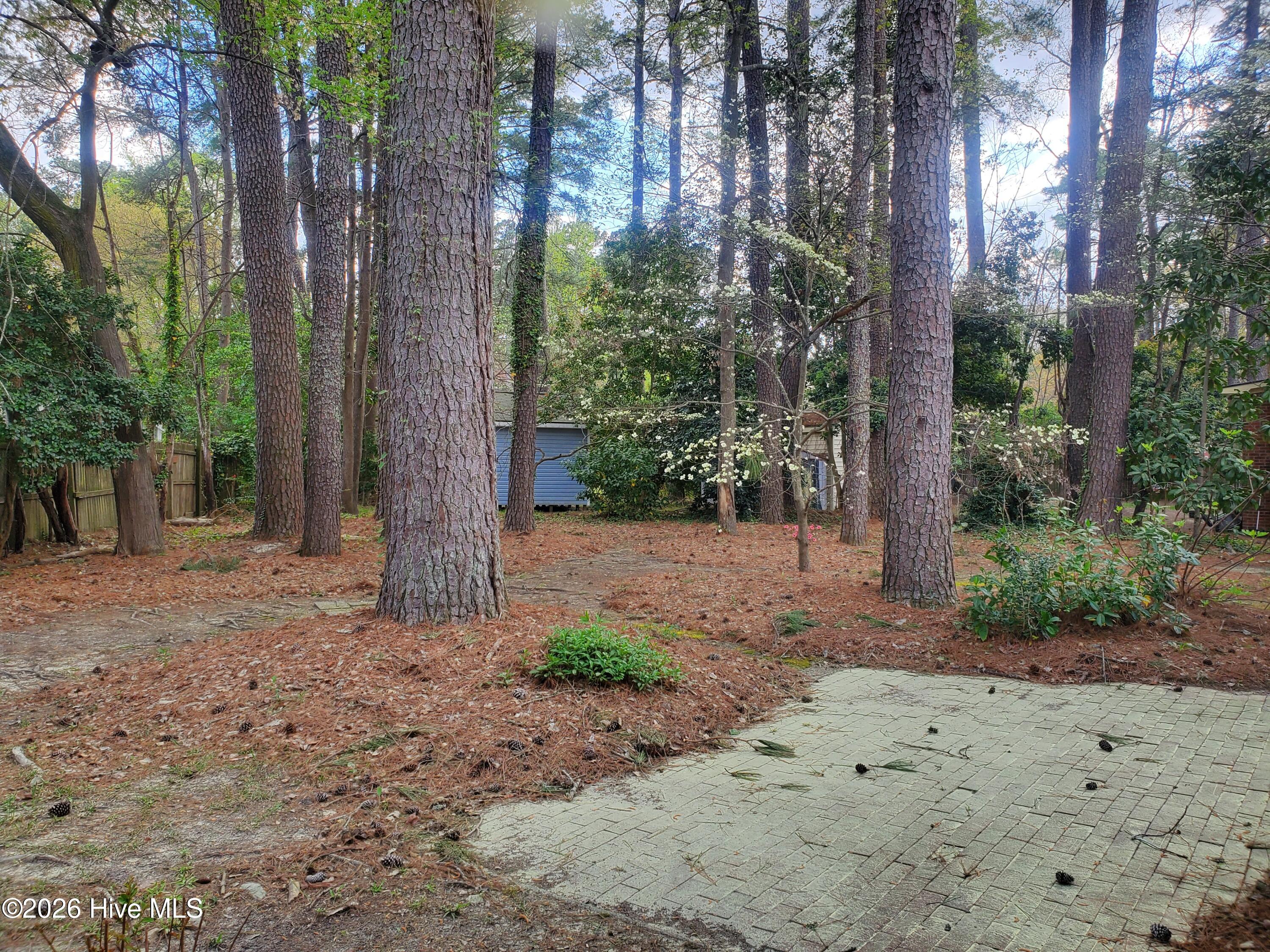 206 Staffordshire Road Greenville, NC 27834 - Photo 18 of 18 back yard side view