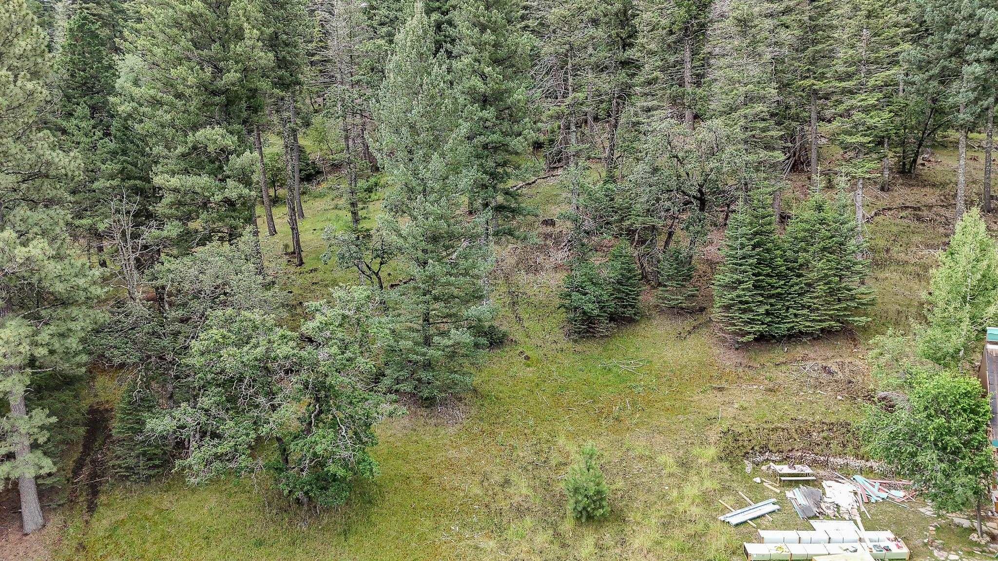 Lot 19 Trading Post Road Cloudcroft, NM 88317 - Photo 8 of 9 Gallery Image 8