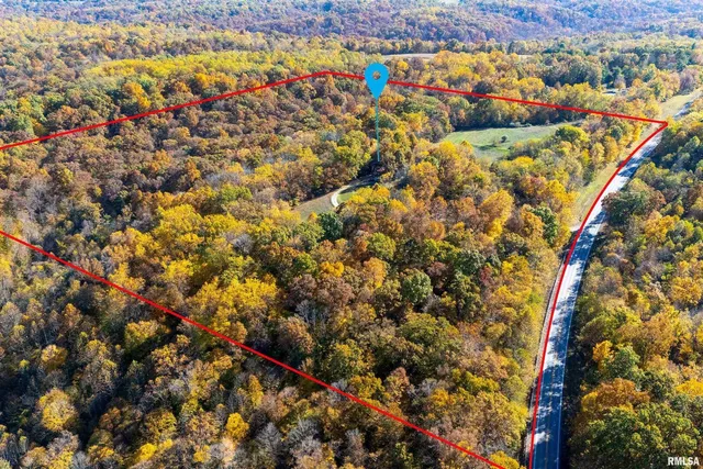 a picture of flowers