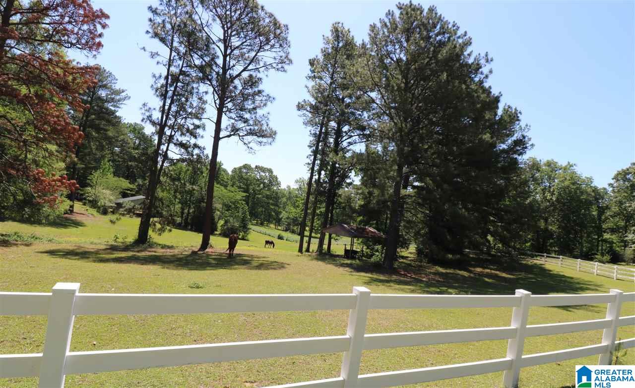 144 Rodeo Drive Pell City, AL 35128 - Photo 21 of 27
