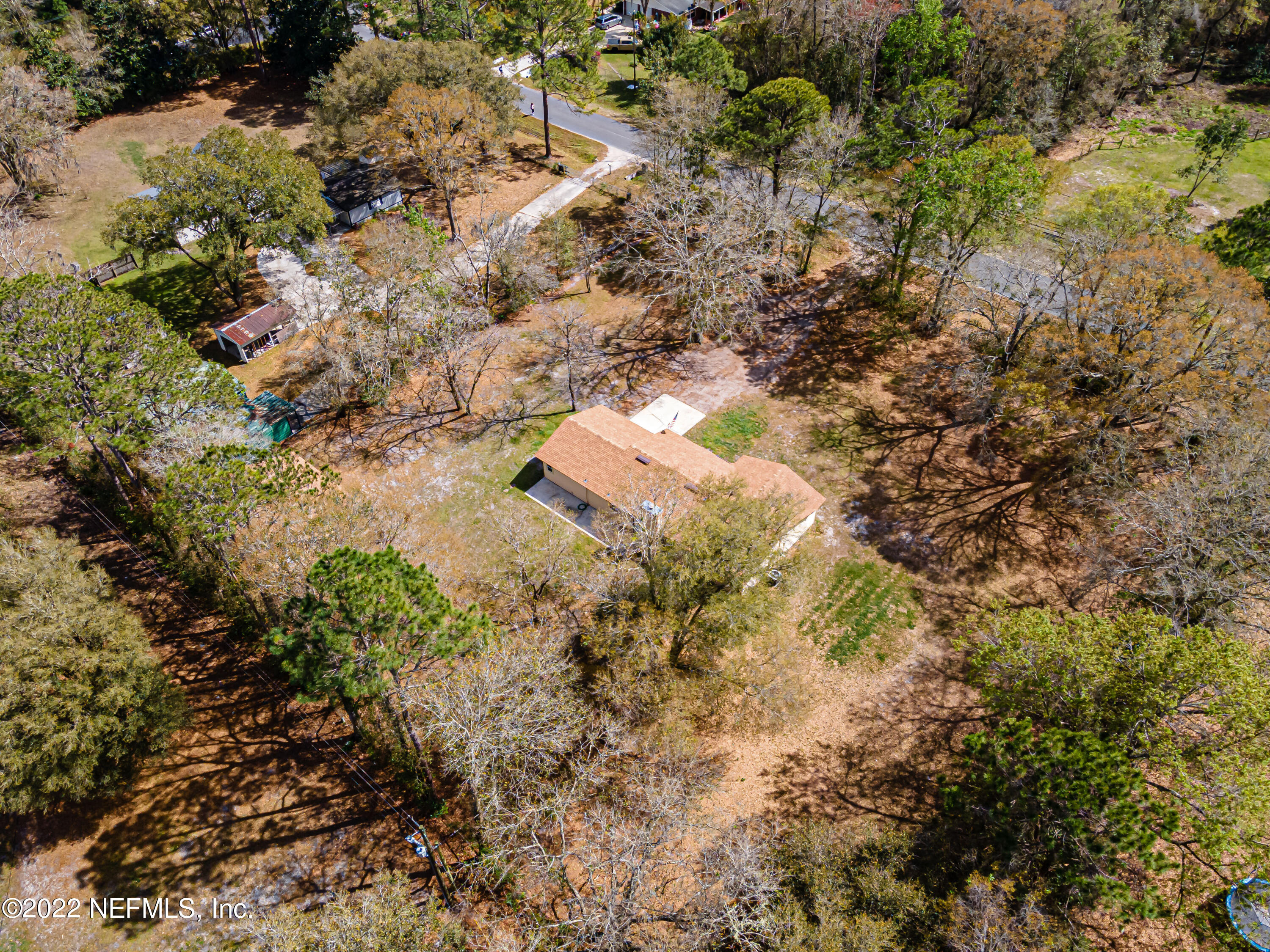 3970 Pinto Road Middleburg, FL 32068 - Photo 51 of 53 a view of a forest with trees