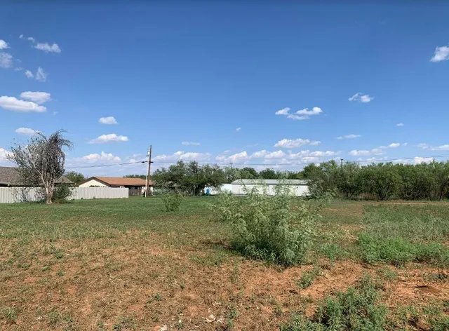 a view of a field with an trees