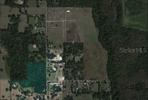 a picture of a door and a tree