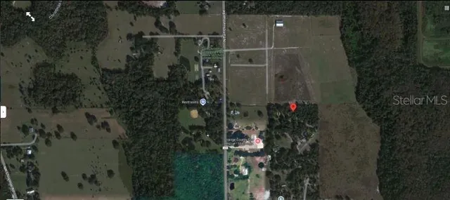 a view of a water pond with lots of trees