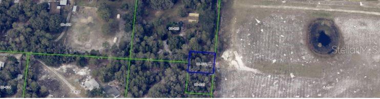 1349 North Fort Christmas Road Christmas, FL 32709 - Photo 9 of 12 a view of a water pond with lots of trees