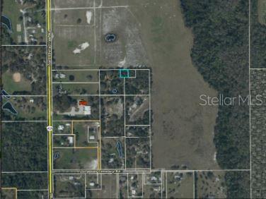 1349 North Fort Christmas Road Christmas, FL 32709 - Photo 10 of 12 a bathroom with a shower