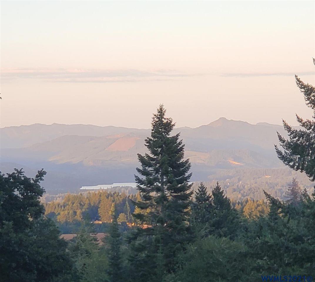 27455 Fern Ridge Road Sweet Home, OR 97386 - Photo 33 of 42 Gallery Image 33