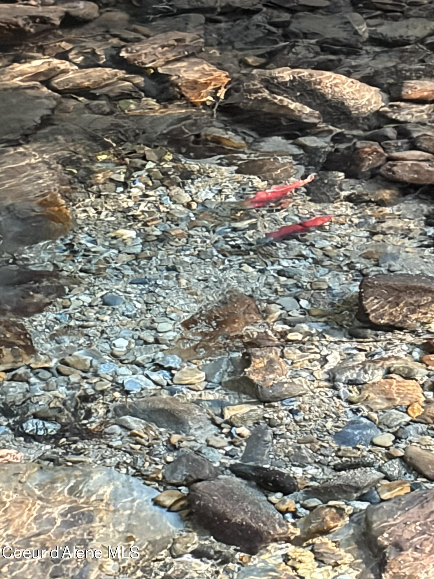 900 Trestle Creek Road Hope, ID 83836 - Photo 5 of 102 IMG_0008