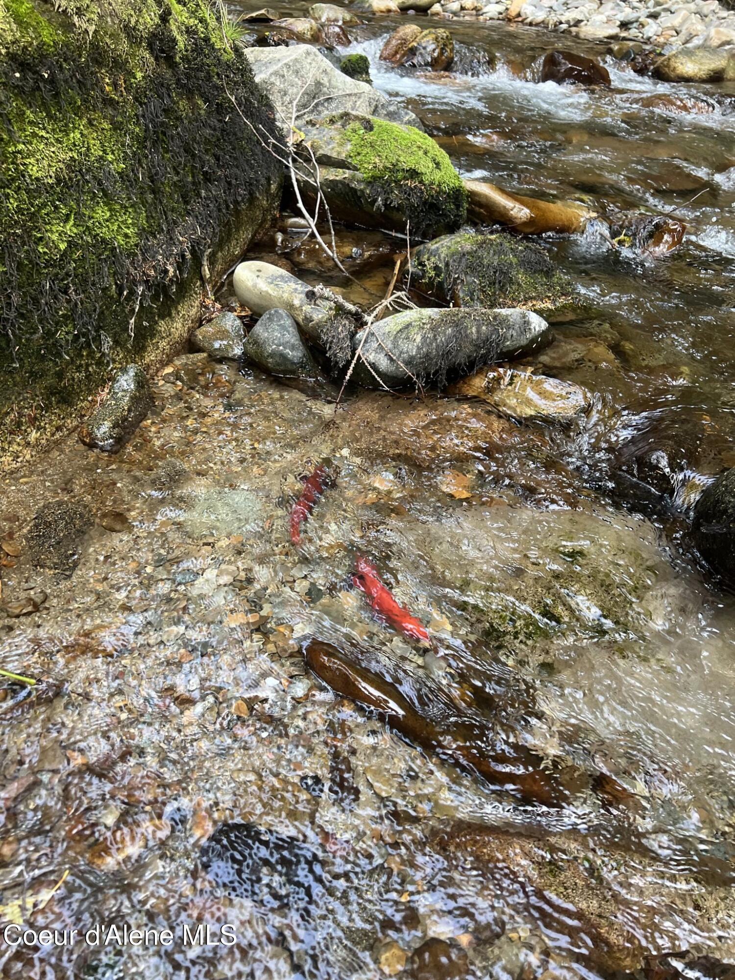 900 Trestle Creek Road Hope, ID 83836 - Photo 6 of 102 signal-2025-11-17-11-56-16-497