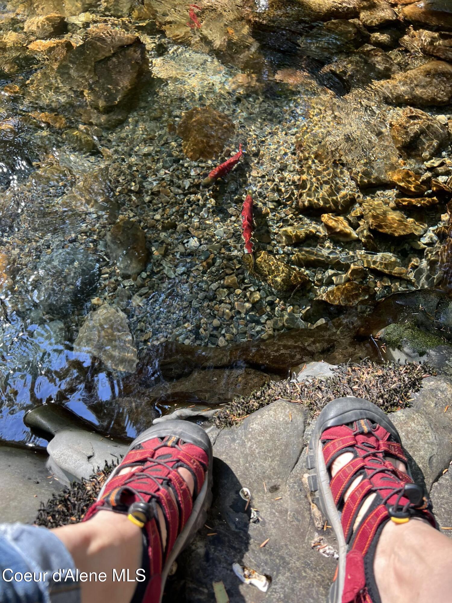 900 Trestle Creek Road Hope, ID 83836 - Photo 7 of 102 signal-2025-11-17-11-56-16-497-1