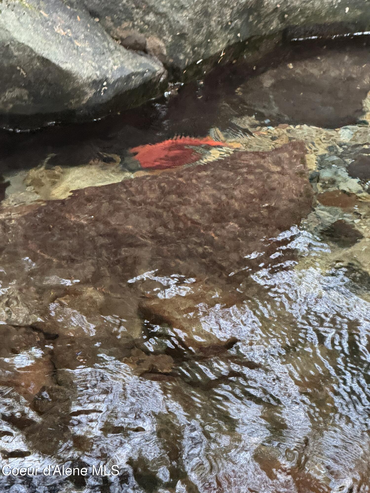 900 Trestle Creek Road Hope, ID 83836 - Photo 8 of 102 798706DB-A970-41A0-9EDA-E9CE2F39AF5E