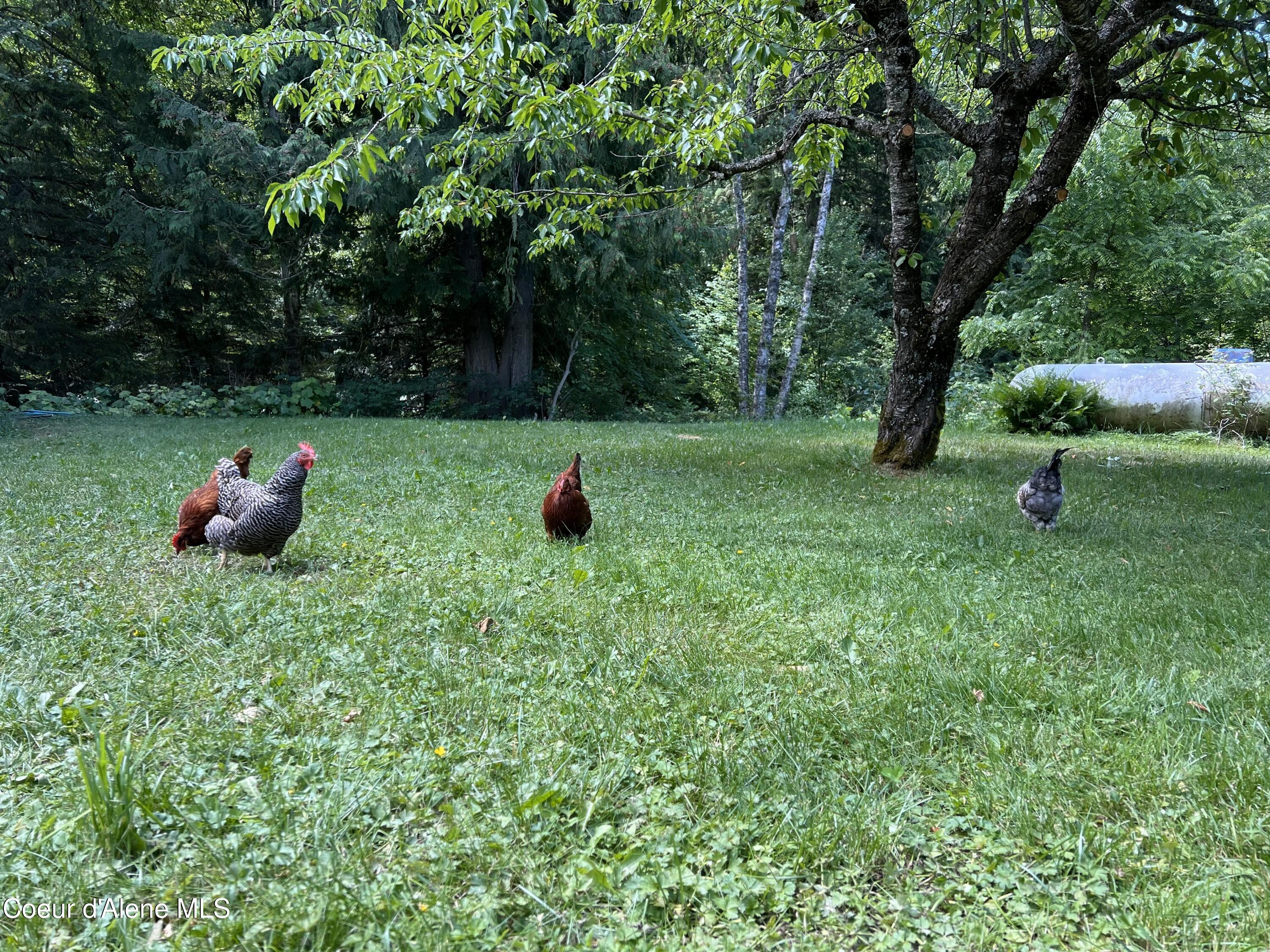 900 Trestle Creek Road Hope, ID 83836 - Photo 95 of 102 IMG_20251120_101558