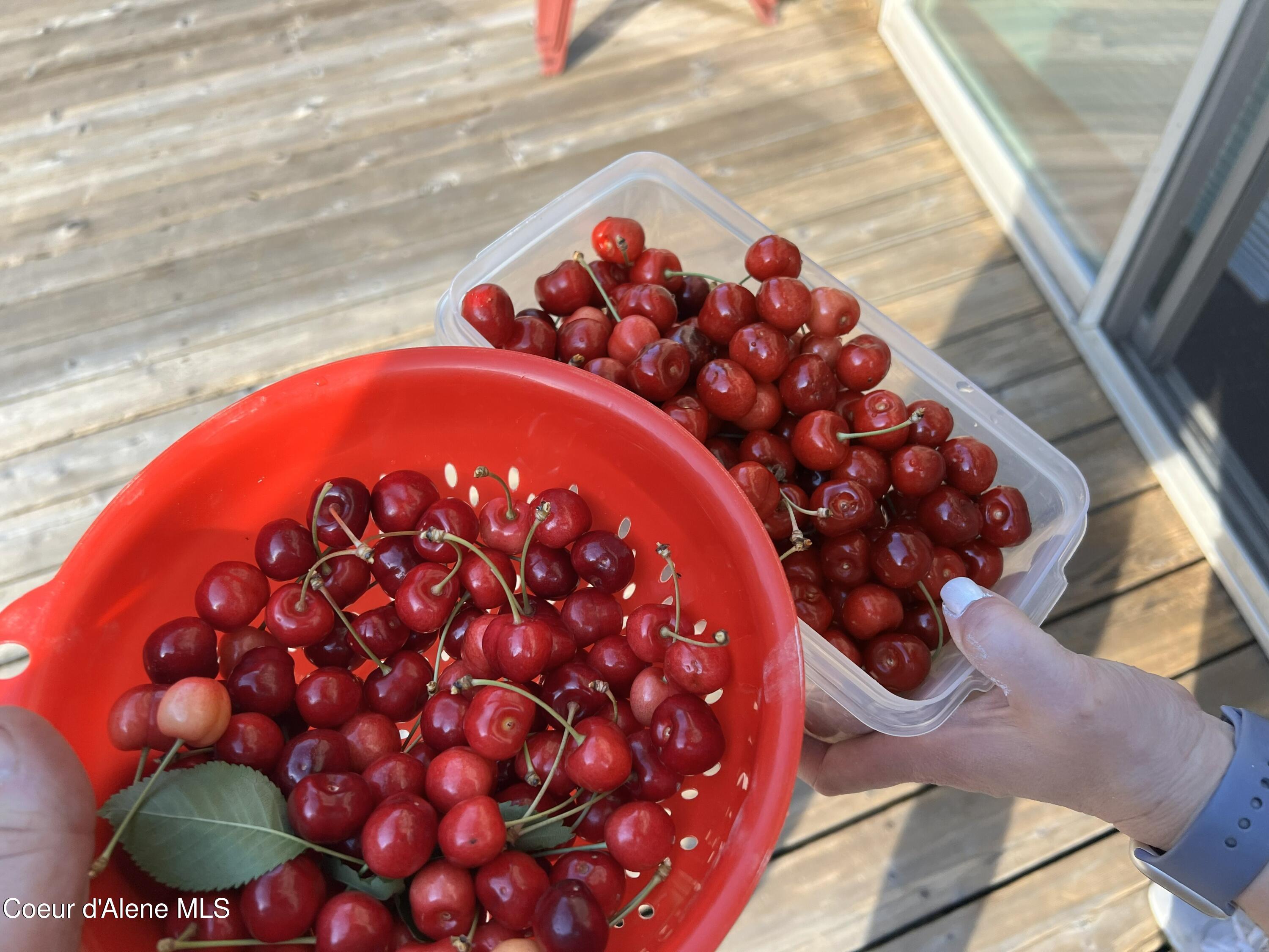 900 Trestle Creek Road Hope, ID 83836 - Photo 97 of 102 IMG_20251120_101556