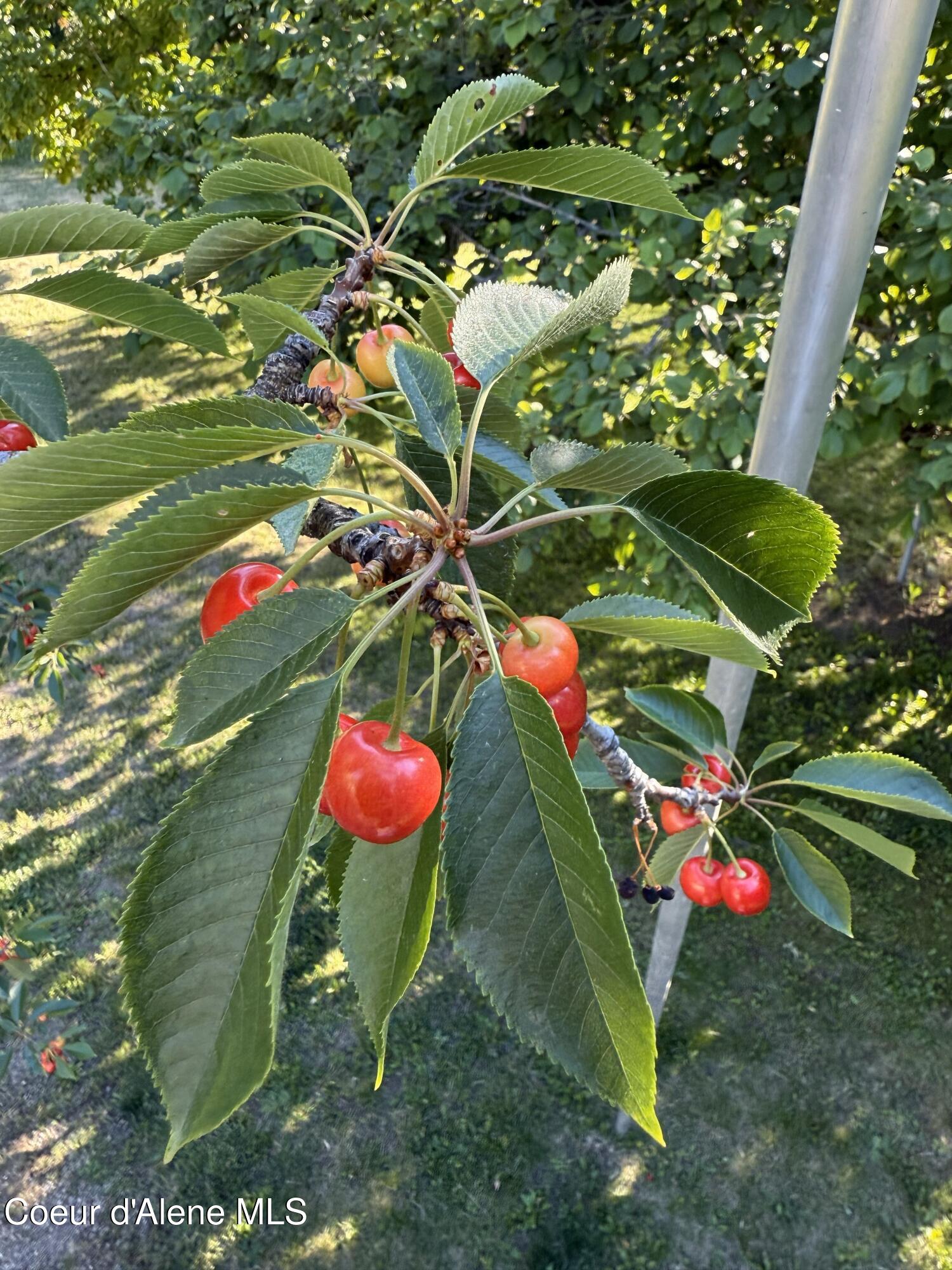 900 Trestle Creek Road Hope, ID 83836 - Photo 98 of 102 C845B8F7-0BAB-443D-ABB1-E7C2C74F2562