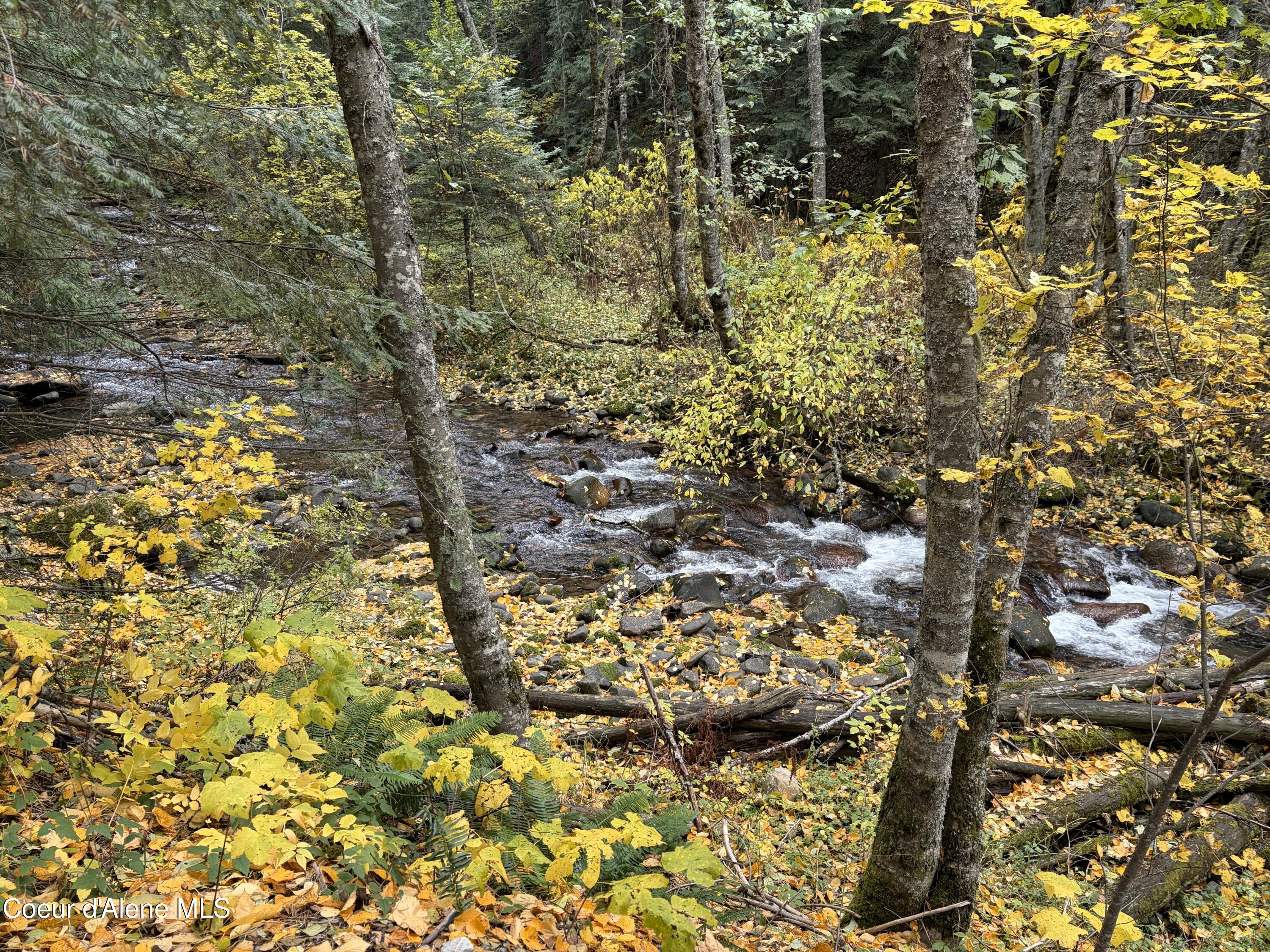 900 Trestle Creek Road Hope, ID 83836 - Photo 10 of 102 IMG_0128