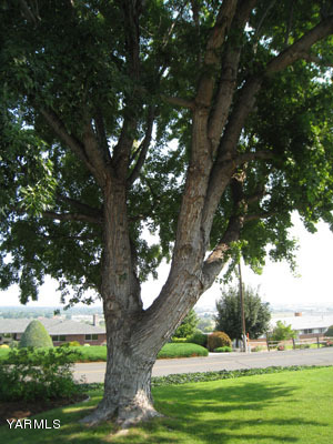 704 Meadowbrook Road Yakima, WA 98903 - Photo 5 of 33 a view of outdoor space