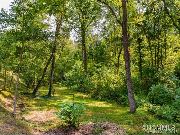 58 Maple Springs Road Asheville, NC 28805 - Photo 23 of 24 Gallery Image 23