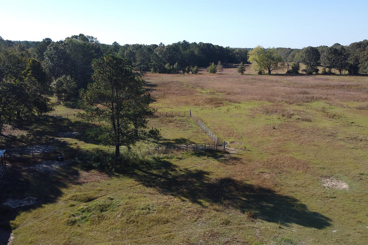 10955 Edgehill Road Avera, GA 30803 - Photo 39 of 43 10955 Edgehill RD - MLS_0005_DJI_0598