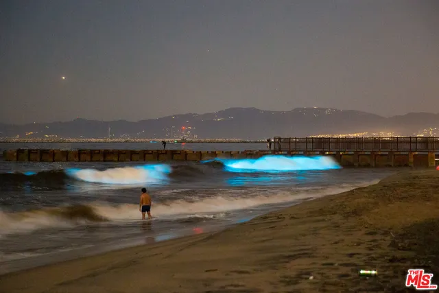 $8,995 | 6985 Trolleyway South, Playa del Rey, CA 90293