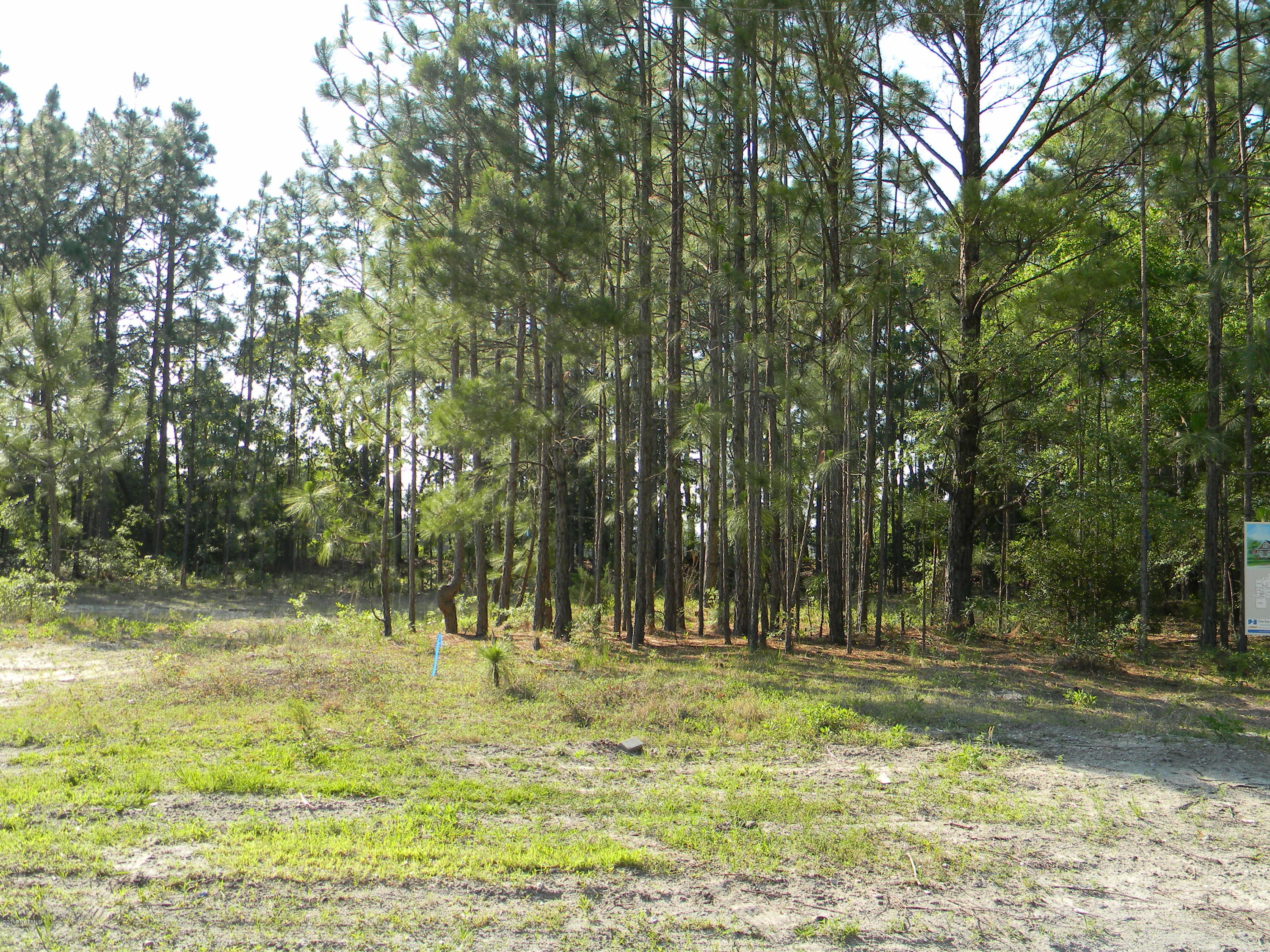 741 Windemere Road Wilmington, NC 28405 - Photo 3 of 6 DSCN6035