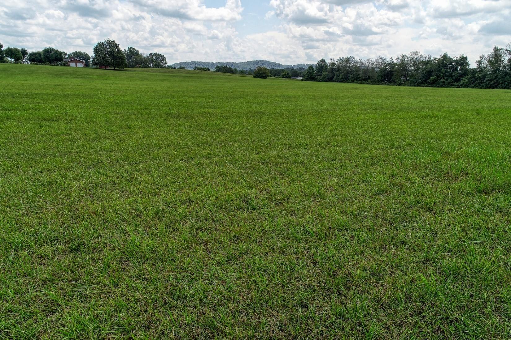 7921-7923 Thompson School Road Corryton, TN 37721 - Photo 4 of 18 Acreage