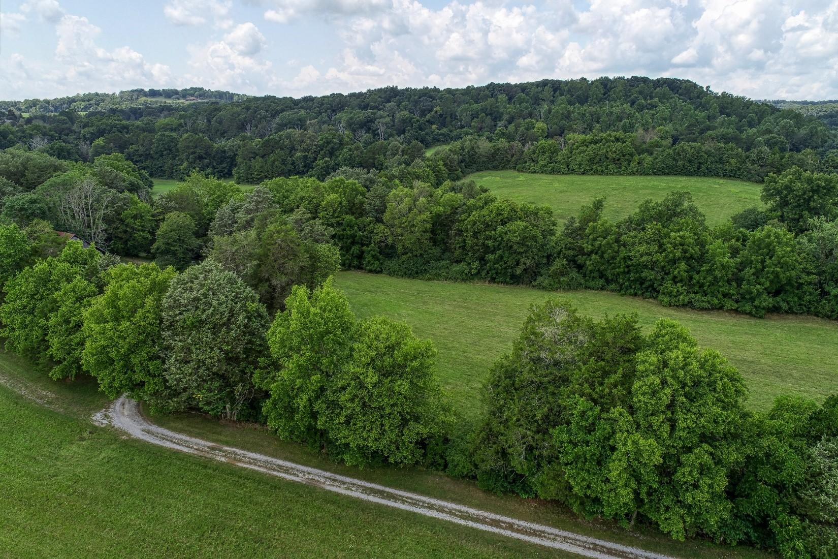 7921-7923 Thompson School Road Corryton, TN 37721 - Photo 5 of 18 Acreage