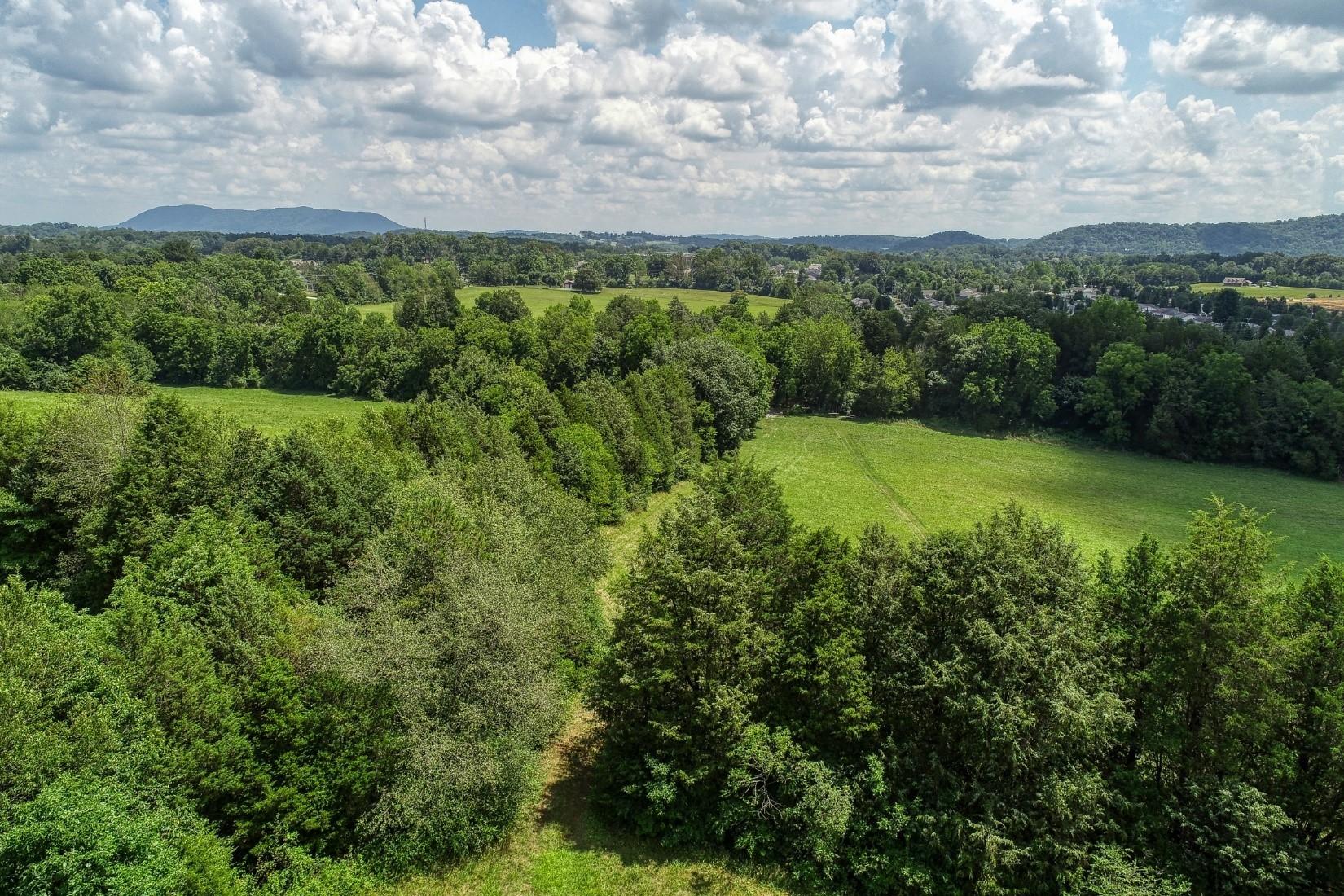 7921-7923 Thompson School Road Corryton, TN 37721 - Photo 8 of 18 Acreage