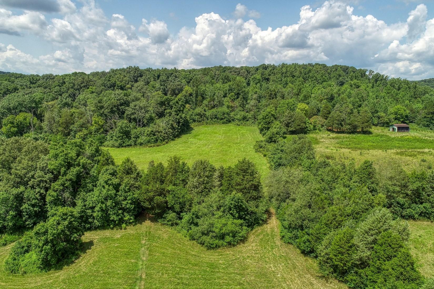 7921-7923 Thompson School Road Corryton, TN 37721 - Photo 10 of 18 Acreage