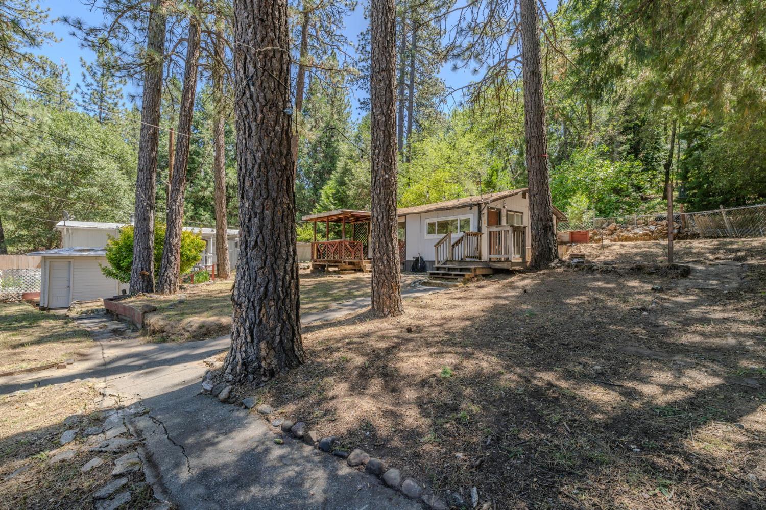 14876 Shenandoah Road River Pines, CA 95675 - Photo 8 of 37