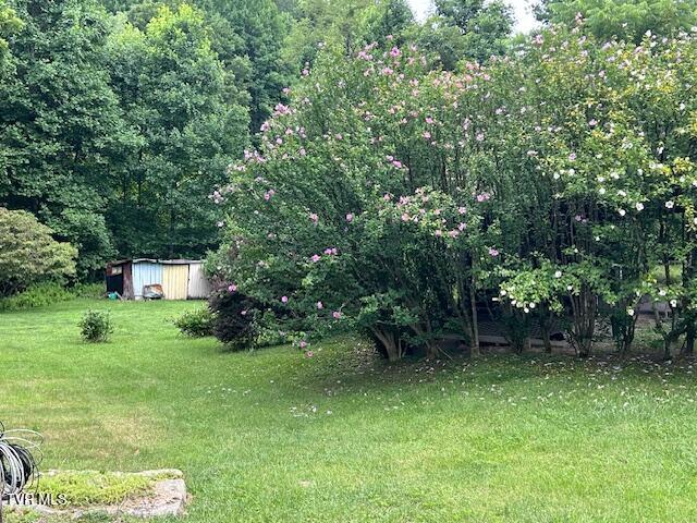 7609 Birchfield Road Wise, VA 24293 - Photo 8 of 23 IMG_0806
