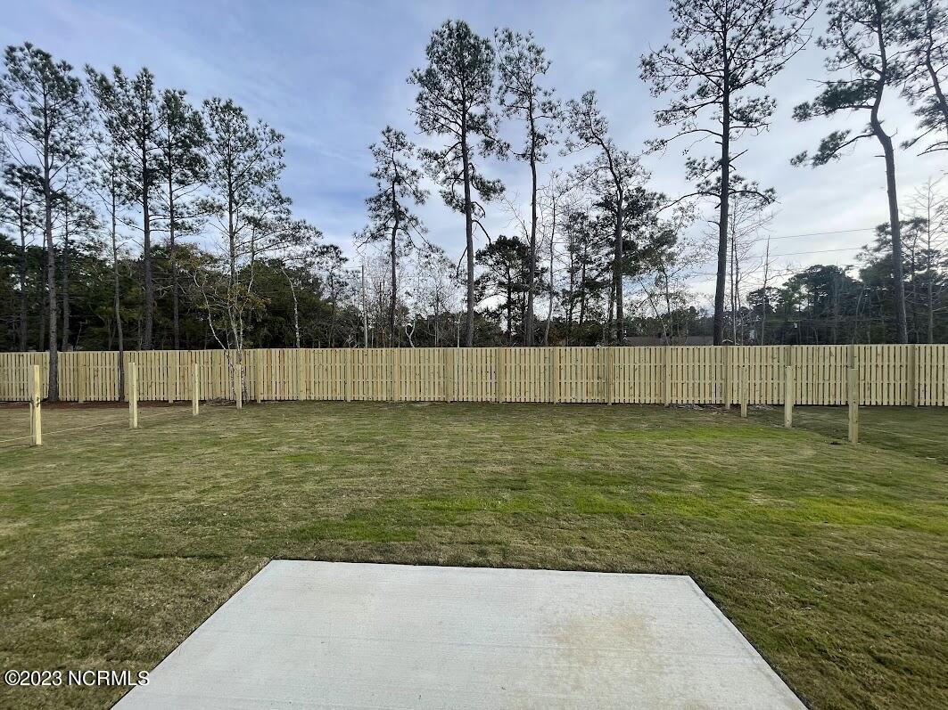 138 Streambed Way Hampstead, NC 28443 - Photo 25 of 27 IMG_6596
