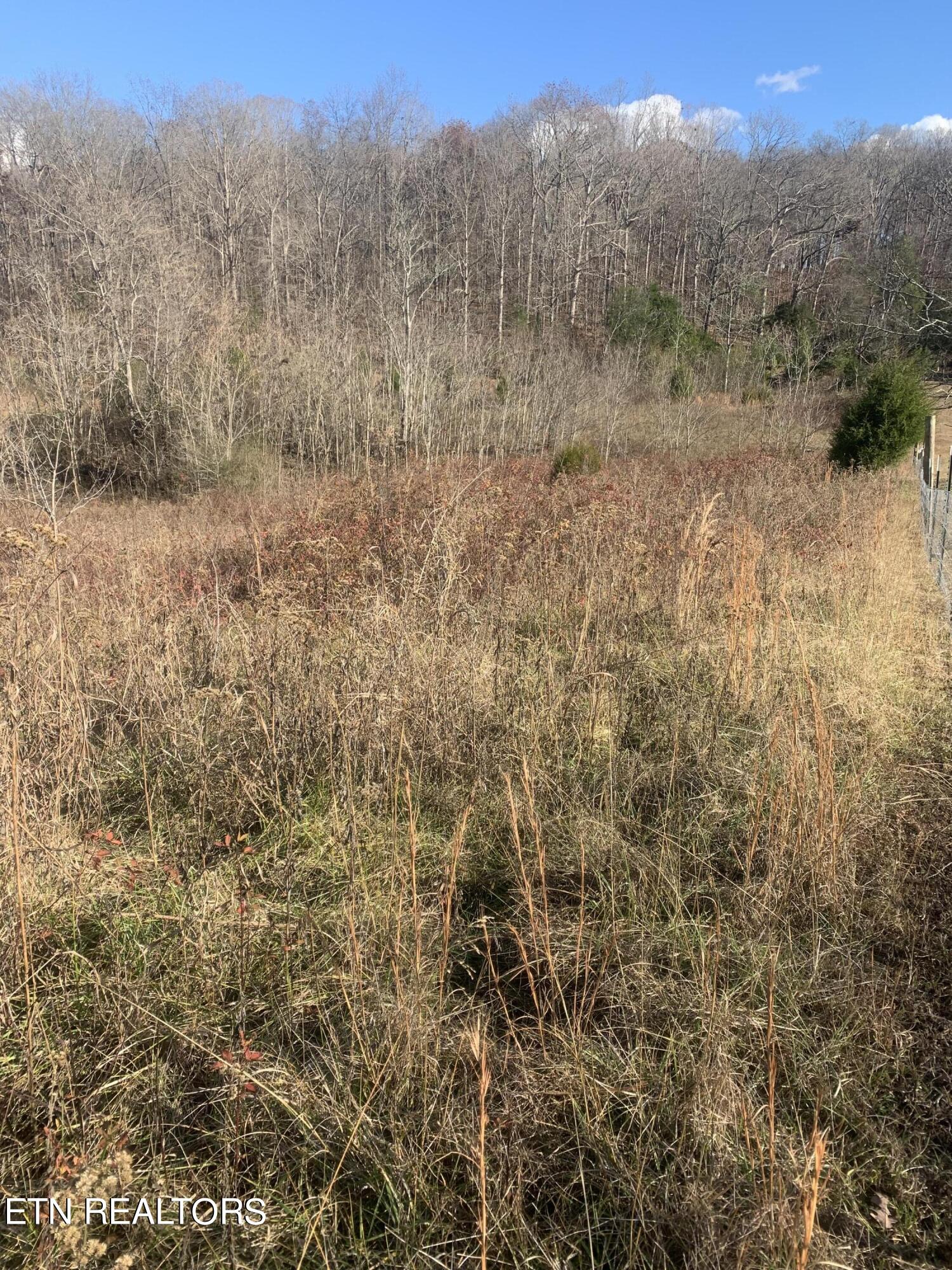 820 Lawhon Farm Road Loudon, TN 37774 - Photo 1 of 2 3F55D8DC-80D5-4D83-BFBC-A42A570FBB77