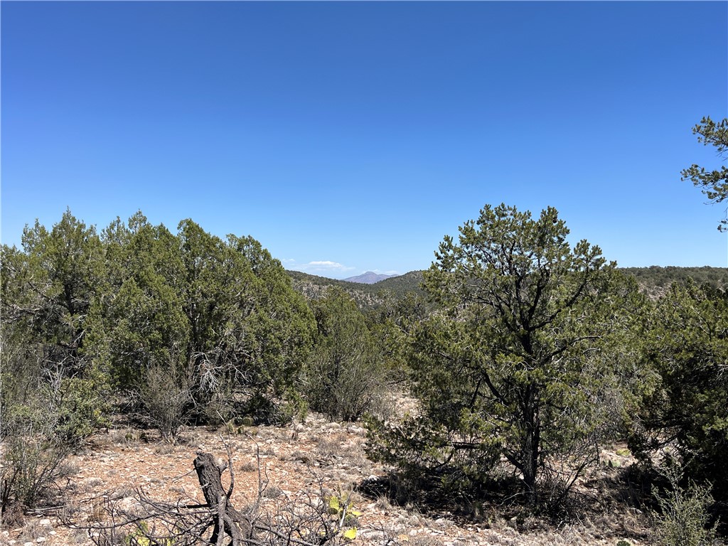 46675 North Edge Ridge Road Seligman, AZ 86337 - Photo 3 of 28